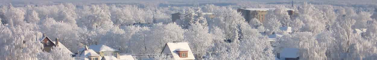 Winter Estonia Landscape