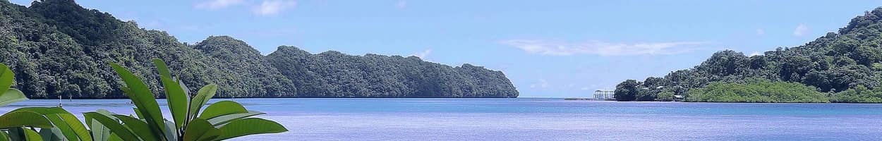 Palau Landscape