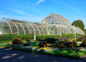 Kew plantation